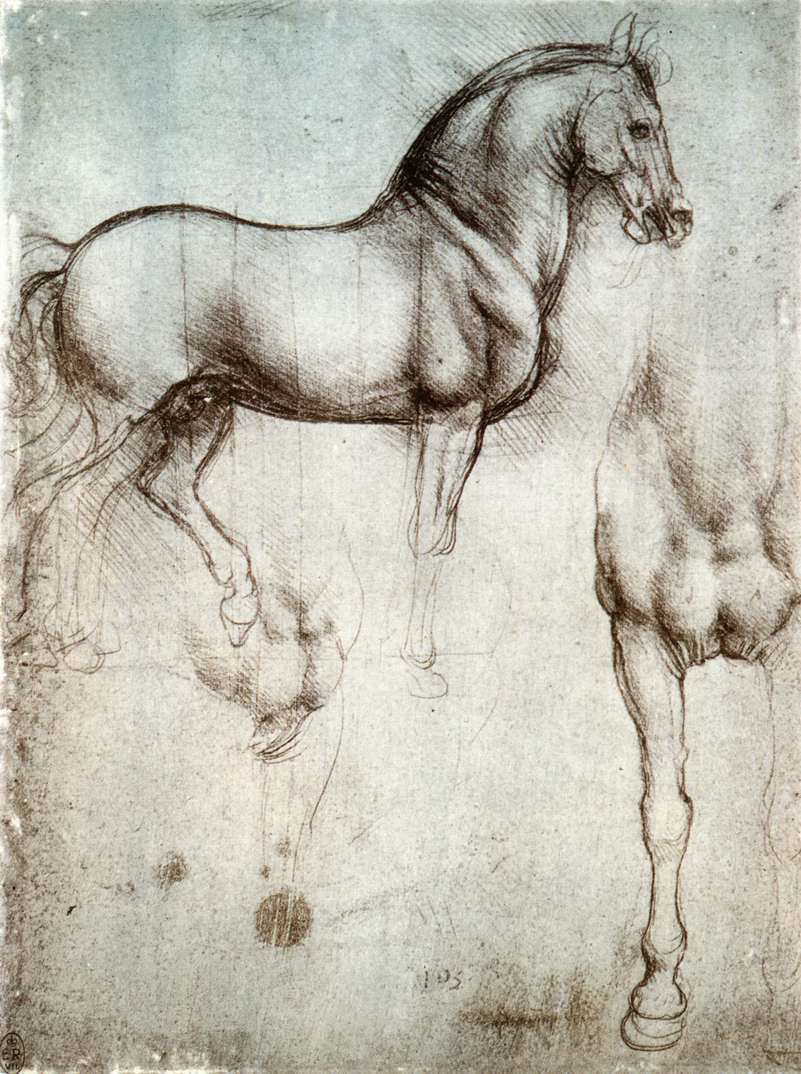 The Da Vinci Horse